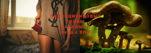 бутират Ельня