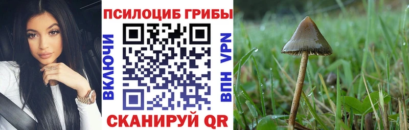 Псилоцибиновые грибы GOLDEN TEACHER  Кочубеевское 